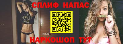спиды Кинель