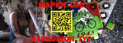 a pvp Кингисепп