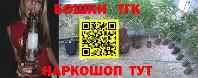 a pvp Кингисепп