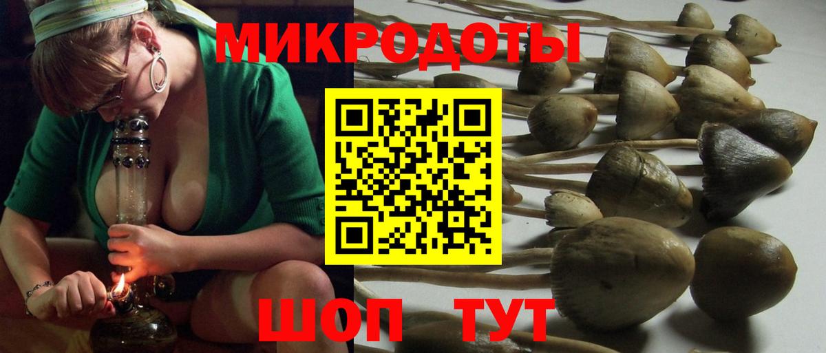 Кудрово  Галлюциногенные грибы MAGIC MUSHROOMS  Вход с VPN 